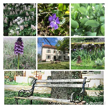 Mas D'aubrac לינה וארוחת בוקר Limogne-en-Quercy