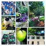 Mas D'aubrac Bed and Breakfast 3*