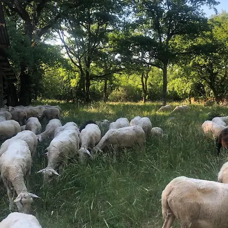 Mas D'aubrac