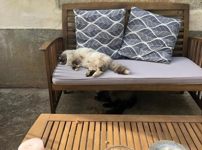 Mas D'aubrac Limogne-en-Quercy